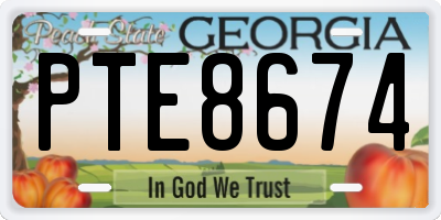 GA license plate PTE8674