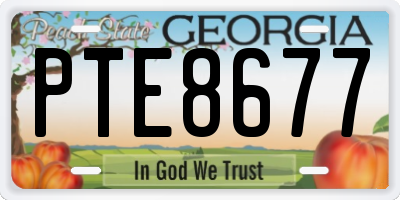 GA license plate PTE8677