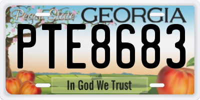 GA license plate PTE8683