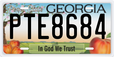 GA license plate PTE8684
