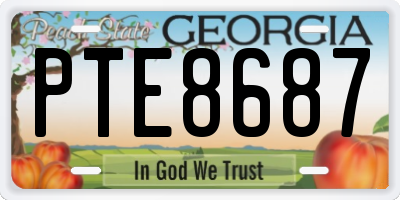 GA license plate PTE8687