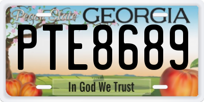 GA license plate PTE8689