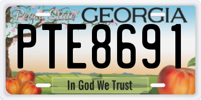 GA license plate PTE8691