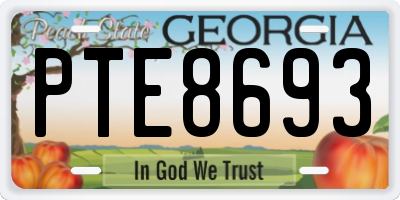 GA license plate PTE8693
