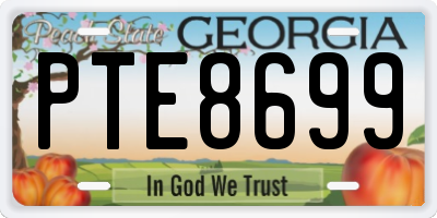GA license plate PTE8699