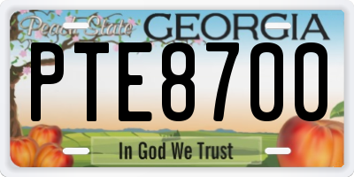 GA license plate PTE8700
