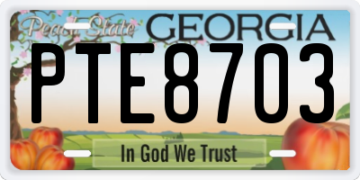 GA license plate PTE8703