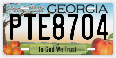 GA license plate PTE8704