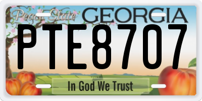 GA license plate PTE8707