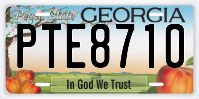 GA license plate PTE8710