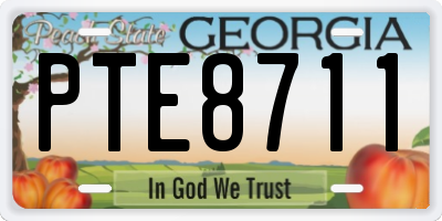 GA license plate PTE8711