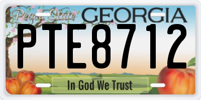GA license plate PTE8712
