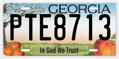 GA license plate PTE8713