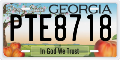 GA license plate PTE8718