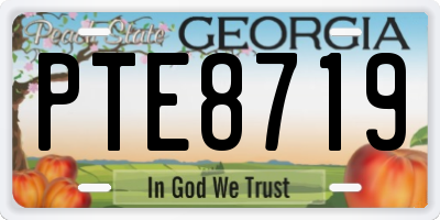 GA license plate PTE8719