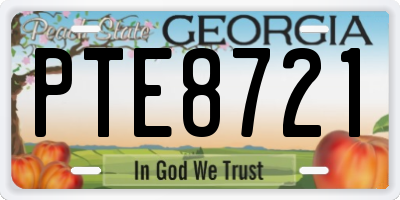 GA license plate PTE8721