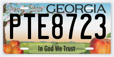 GA license plate PTE8723