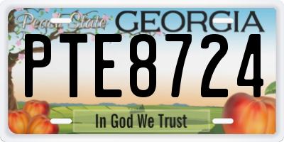 GA license plate PTE8724
