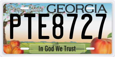GA license plate PTE8727