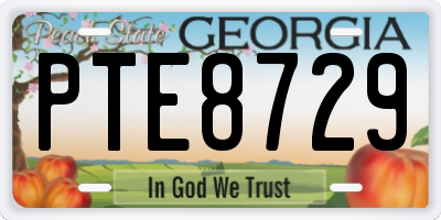 GA license plate PTE8729