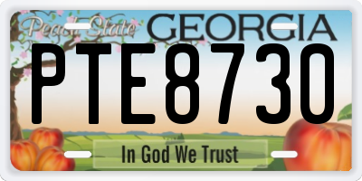 GA license plate PTE8730