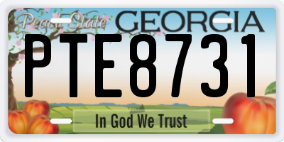 GA license plate PTE8731