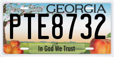 GA license plate PTE8732