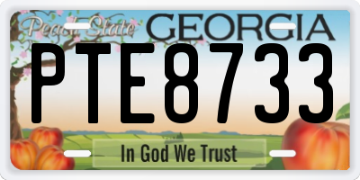 GA license plate PTE8733