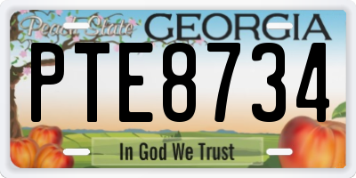 GA license plate PTE8734