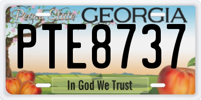 GA license plate PTE8737