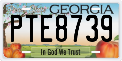 GA license plate PTE8739