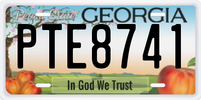 GA license plate PTE8741