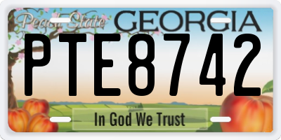 GA license plate PTE8742