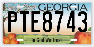 GA license plate PTE8743