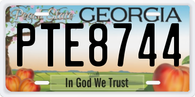 GA license plate PTE8744