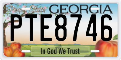 GA license plate PTE8746