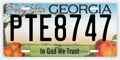GA license plate PTE8747