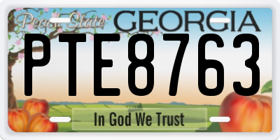 GA license plate PTE8763
