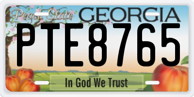 GA license plate PTE8765