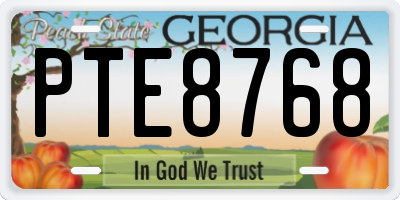 GA license plate PTE8768