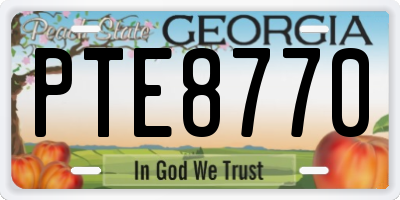 GA license plate PTE8770