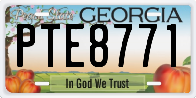GA license plate PTE8771