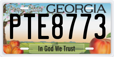 GA license plate PTE8773