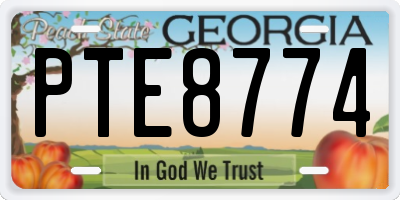 GA license plate PTE8774