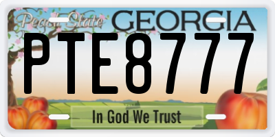 GA license plate PTE8777