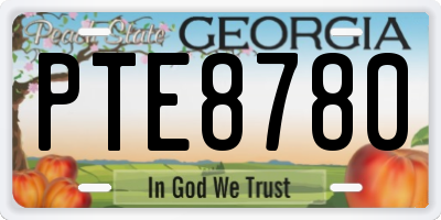 GA license plate PTE8780