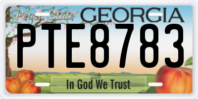 GA license plate PTE8783