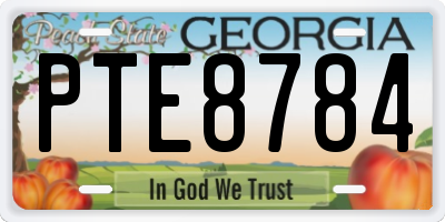 GA license plate PTE8784