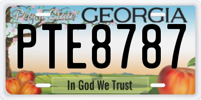 GA license plate PTE8787