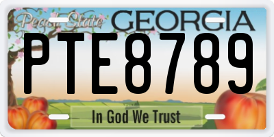 GA license plate PTE8789